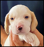 Boy 5 Front Wk 4